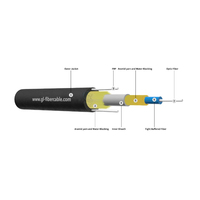 Cable de Fibra Óptica de Tipo Redondo con Doble Cubierta de FRP y Hilos de Aramida, Cable de Fibra Óptica de 1 y 2 Núcleos para Comunicación