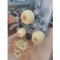 Apple Peeling Slicing Machine Automatische Apple Coring Coring Machine Apple Peeling Snijmachine