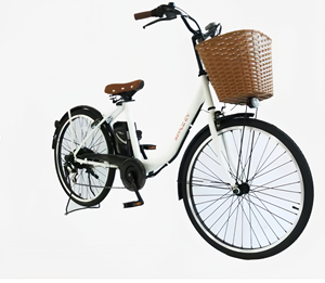Vélo électrique pratique avec batterie au lithium amovible, compact, léger, pour usage urbain quotidien, modèle JYOP-266, moteur sans balais 250W Pro - Product Image 4