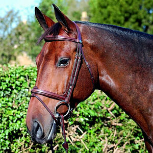 Brida de Caballo de Calidad, Color Marrón, Estilo Inglés, Proveedor de Equipo Ecuestre, Fabricante de Equipo de Cuero para Caballos - Product Image 1