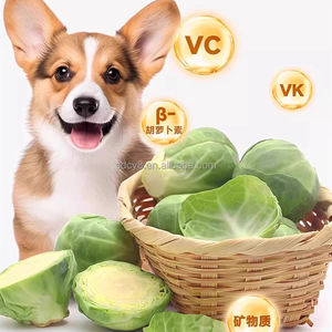 Alimento para Animais de Estimação, Frutas e Vegetais Liofilizados, Snacks de Repolho Liofilizado para Animais de Estimação - Product Image 1