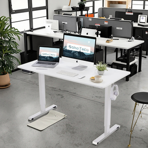 Diseño moderno ergonómico Muebles de oficina en casa Acero inoxidable Sit-to-Stand Altura eléctrica Mesa de pie de elevación ajustable - Product Image 3