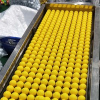 Grosir 2 Buah Surlyn Golf Range Pelatihan Bola Golf Biru Matte Jarak Mengemudi Bola
