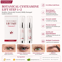 Kit de rehaussement de cils et de lamination des sourcils à domicile, Végan, à base de cystéamine, naturel, à base de plusieurs extraits végétaux, 2 en 1, Étape 1 Étape 2