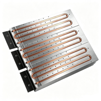 Plaque de refroidissement liquide en aluminium sur mesure usinée CNC avec tube en cuivre intégré pour dissipation thermique par eau pour EV IGBT et laser à fibre