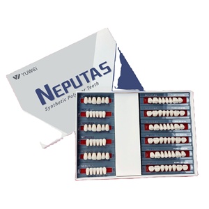 Dientes Acrílicos Neputas para Dentaduras Postizas, Resina Polimérica, Dientes Postizos de Plástico, VTTA A1 B1 <span class=keywords><strong>A2</strong></span> <span class=keywords><strong>B2</strong></span> - Product Image 4