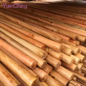 Kualitas Terbaik pernis kayu pegangan sapu tongkat sapu tiang kayu dan tongkat untuk taman