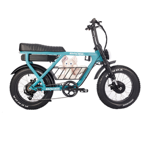 Bicicleta Eléctrica con Motor de Neumático Grueso, Motor Central, Rueda Trasera, para Carretera, Montaña, Playa y Ciudad, 1000w 48V - Product Image 4