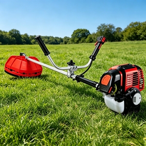 <span class=keywords><strong>Tondeuse</strong></span> à gazon L&P à moteur essence pour jardin, cour, ferme, coupe d'herbe, usage intensif - Product Image 6