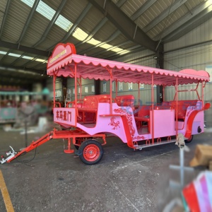 Custom-made Electric Large-scale Sightseeing Carriages with Various Leisure Styles Sell Well - Product Image 5