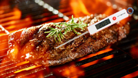 Termometer Daging Digital Keamanan Pangan SW, Termometer Permen/Lilin dengan Probe Layar LCD, Peralatan Memasak BBQ Dapur