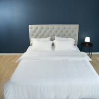 Parure de lit en fibre de Tencel 100% naturelle de haute qualité, couleurs unies, taille Queen et King, ensembles de draps en coton, vente en gros