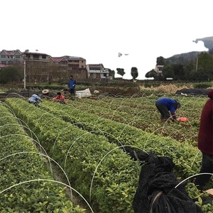 แท่งไฟเบอร์กลาสโค้งขนาดเส้นผ่าศูนย์กลาง7มม. สำหรับเรือนกระจก - Product Image 2