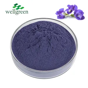 Well green Bulk Food Additive Färbung Blue Butterfly Pea Flower Extract Pudding pulver