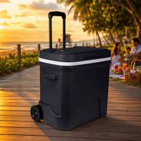 Glacière portable isotherme Bearhike Modern 33L avec roulettes, design isolé, maintien de la glace pendant 5 jours, absorption de la réfrigération des aliments