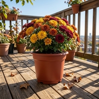 Pot de fleurs moderne en plastique pour jardin, pots de pépinière en plastique pour la maison et pot de jardin rond, vente en gros
