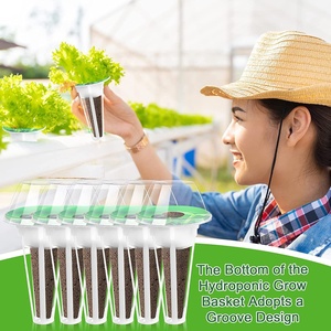 Voor hydrocultuur, bodemloze teelt, plantmachine, biochar-spons, alternatief voedingsmiddel, succulentenmodel MZ002 gemaakt - Product Image 3