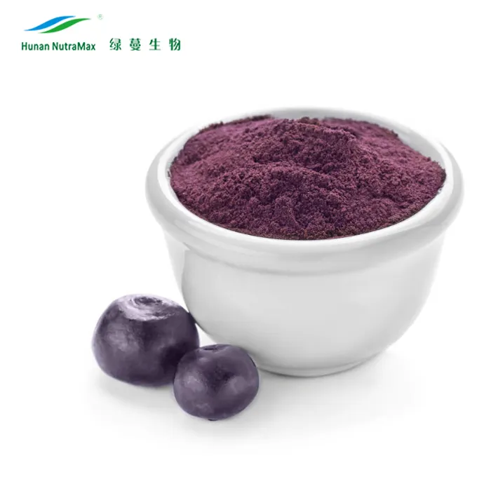 Acai Berry Gefrier getrocknetes Pulver, reines Acai-Beeren pulver, Acai-Beeren pulver Brasilien