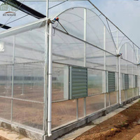Serre en polyéthylène fabriquée en Chine, usine de serres SUNSGH