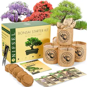 Novice Bonsai Tree Starter Kit Bundle – Perfect for Beginners & Gifts