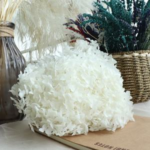 Наиболее популярный консервированный белый ствол гортензии Анны на ощупь для самостоятельного изготовления цветов для всех видов праздничного декора магазина цветов - Product Image 3