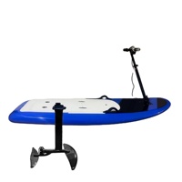 Meilleur hydrofoil électrique de surf de marque, neuf, en fibre de carbone de qualité, avec télécommande 48v, sac disponible à la vente