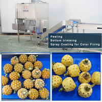 Fabrieksmatig geproduceerde ananaslijn 304 roestvrijstalen motor CE-gecertificeerde ananas schil-, snij- en droogmachine Fengxiang merk 1