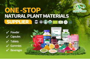 OEM aladdin Ashwagandha Capsules Bon Sommeil Complément Alimentaire pour Adultes 2 Capsules Par Jour 60 Capsules/Bouteille Pas pour Adolescents - Product Image 5