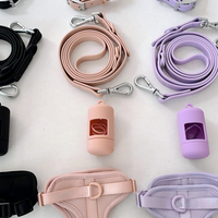 Collier de chien en PVC étanche laisse ensemble mode impression conception Rivet en gros accessoires pour animaux de compagnie pour petits animaux en Silicone