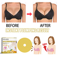 Patch de soin des seins naturel au gingembre Patch compact raffermissant et lifting pour l'élargissement des seins 10 pièces