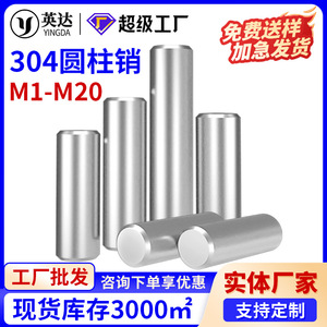 Goupilles cylindriques en acier inoxydable M1 M3 M4 M5 M6 M8 M16 Finition brillante standard Usage général - Product Image 5