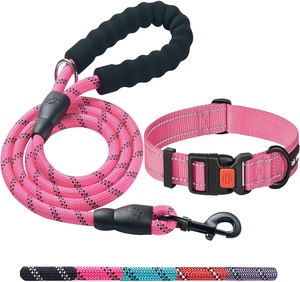 <span class=keywords><strong>Collar</strong></span> y Correa de Entrenamiento para Perros Duraderos para Exteriores, Collares de Lujo para Perros, Correas para Gatos, Suministros para Mascotas para el Entrenamiento de Cachorros, Correr y Caminar - Product Image 6