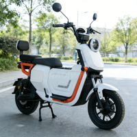 Fabricant Fournisseur de Motos Électriques Tout-Terrain à Pneus Larges 1000W Haute Vitesse, Cyclomoteurs Électriques 60V/72V U2