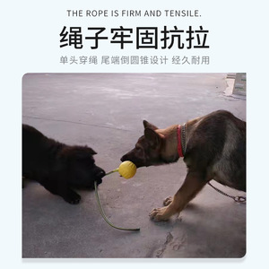 Balles à mâcher pour l'entraînement des chiens avec corde en caoutchouc, jouets de jeu en plein air pour animaux de compagnie - Product Image 4