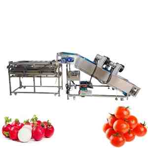 Pathway multifuncional SS304 <span class=keywords><strong>Tomate</strong></span> Saladett Clasificador de secado al aire Máquina clasificadora de frutas para dimensionar patatas Máquina clasificadora - Product Image 1