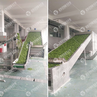 Elektrische warmtepomp PLC-gestuurde fruitdroogmachine met motor en continue banddrooginstallatie