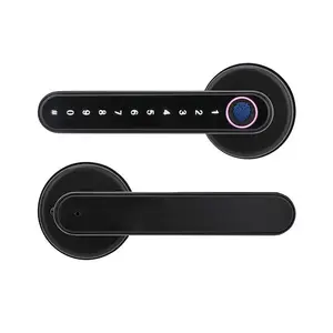 Anti Theft Smart Electric Fingerprint Door Lock Handle Biometric Keyless Security Entry with 2 Keys Smart Home