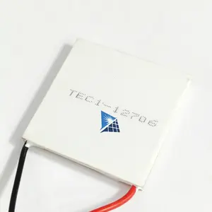 TEC1 12706 Thermoelectric Cooler Peltier 40*40MM 12V Peltier Elemente Module TEC1-12706 In Stock