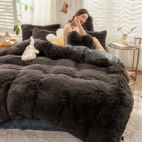 Vente chaude Couleur unie Épaissi Chaud Moderne Luxe 500TC Écologique King Fluffy Housse de couette Ensemble de literie