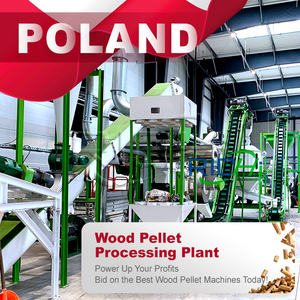 Ligne de production complète de granulés de bois RICHI Commercial 5t/h pour la fabrication de granulés de bois biofuel en Pologne - Product Image 1
