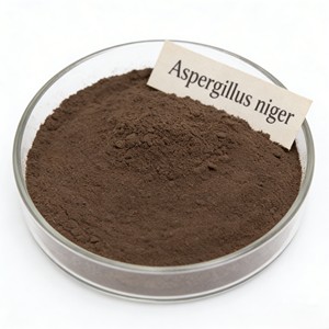 Enzima Solubilizadora de Fosfatos, Aminoácidos de Grado Alimenticio, Resistentes a Altas Temperaturas, Mejoran la Utilización de Nutrientes en los Alimentos, ISO9001 - Product Image 1
