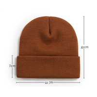 Collectie Winter Hoeden 2025 Nieuwe Stijl Unisex Verschillende Stijlen Custom Borduurwerk Logo Beanie Unisex Best Verkopen Pet
