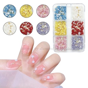 CY Petites Fleurs en Résine pour Décoration d'Ongles 3D Kit d'Accessoires de Manucure - Product Image 6