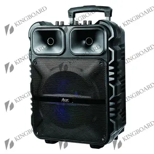 AEK wireless KTS portable outdoor dj party BT multifunction trolley speaker with TWS&FM&USB 12 inch S-11201 factory price
