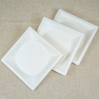 Assiette carrée jetable en bagasse de canne à sucre, biodégradable et compostable, pour la restauration et les événements.