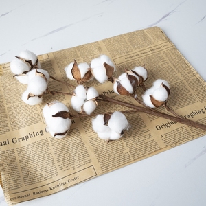 Wholesale Dried Flower Branches Handmade 10 Heads <strong>Cotton</strong> <strong>Stems</strong> for DIY Event Party Decorations - Product Image 3