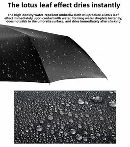 Parapluies promotionnels pliables de haute qualité en gros pour cadeaux d'affaires et publicité avec livraison rapide - Product Image 3