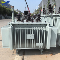 Transformateurs immergés dans l'huile TSTY de 200 kVA et 33 kV