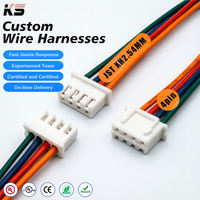 ODM OEM Kabel Harness 2.54mm JST XH Konektor Terminal Listrik Pria 2 3 4 5 6 Pin yang Dapat Disesuaikan untuk Otomotif