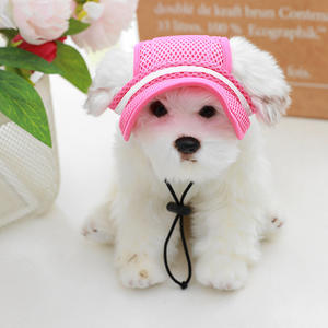 Summer New Pet Hat Breathable Sunshade Cat Dog Hat Butterfly Princess Exposed Ear Dog Supplies En stock - Product Image 6